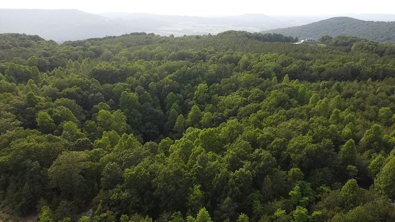 0 Bakers Terrace - Photo 1