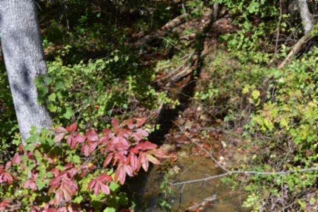 0 Arrow Trail - Photo 1