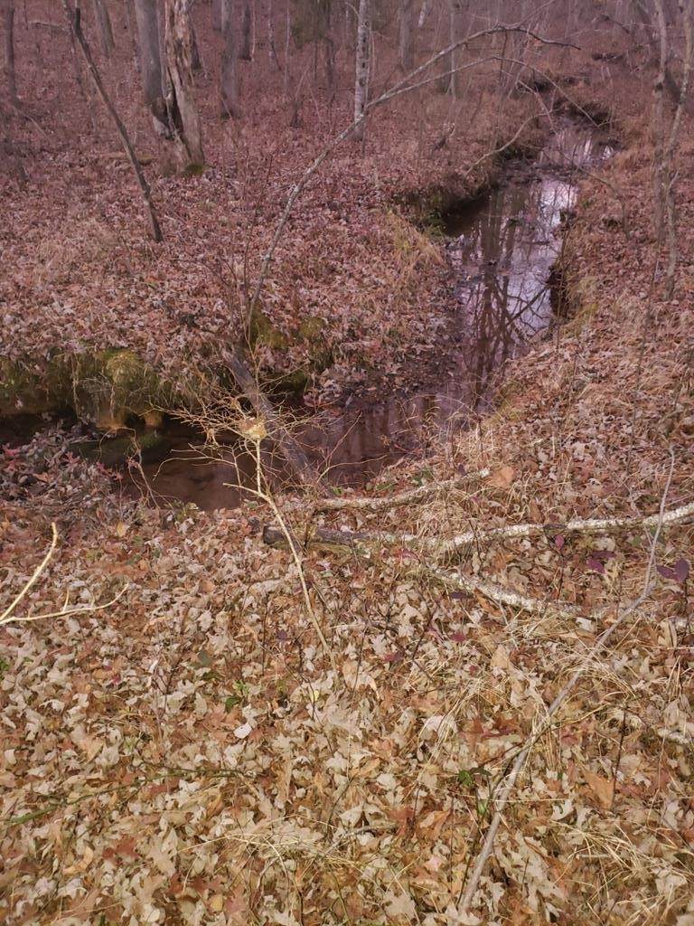 0 Indian Trl - Photo 1