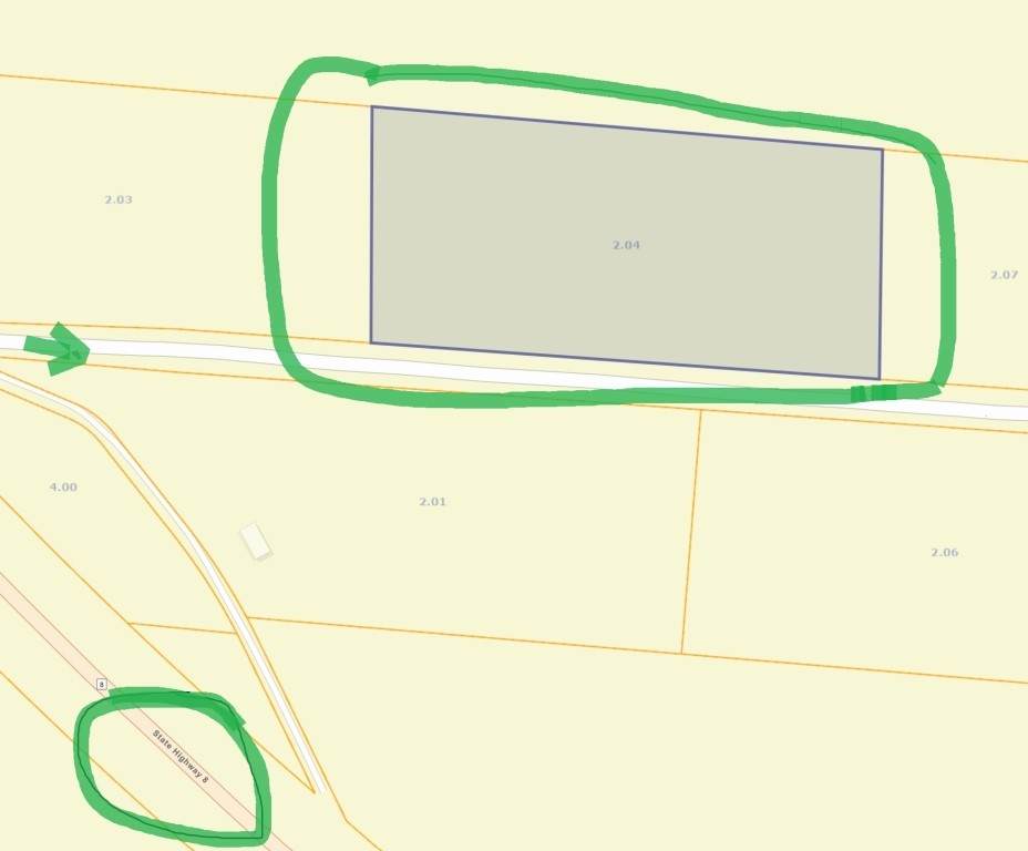 225 George Holland Ln - Photo 1