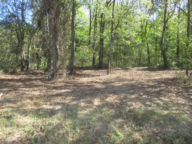 0 Reese Road - Photo 1