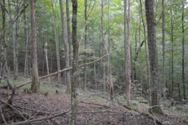 0 West Lane - Photo 1
