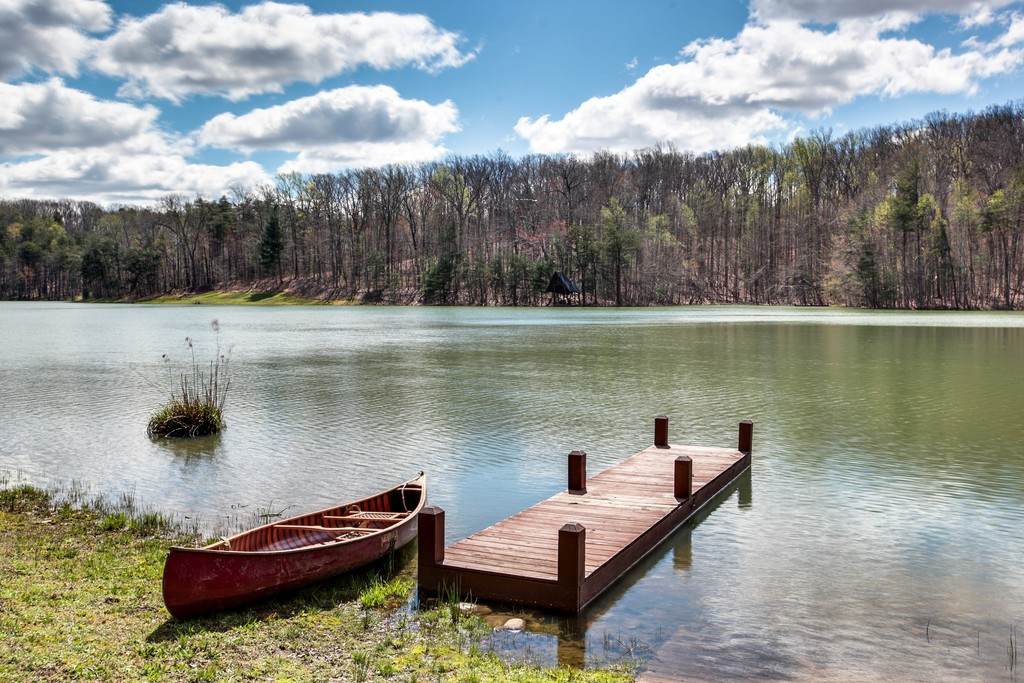 101 Chestnut Hollow Trail - Photo 1