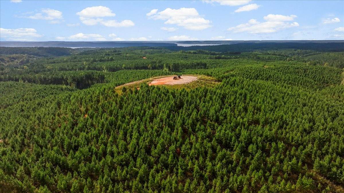 0 Fox Lane - Photo 1