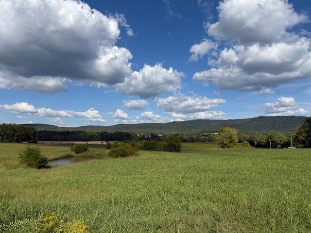 966 Fults Cove Rd - Photo 1