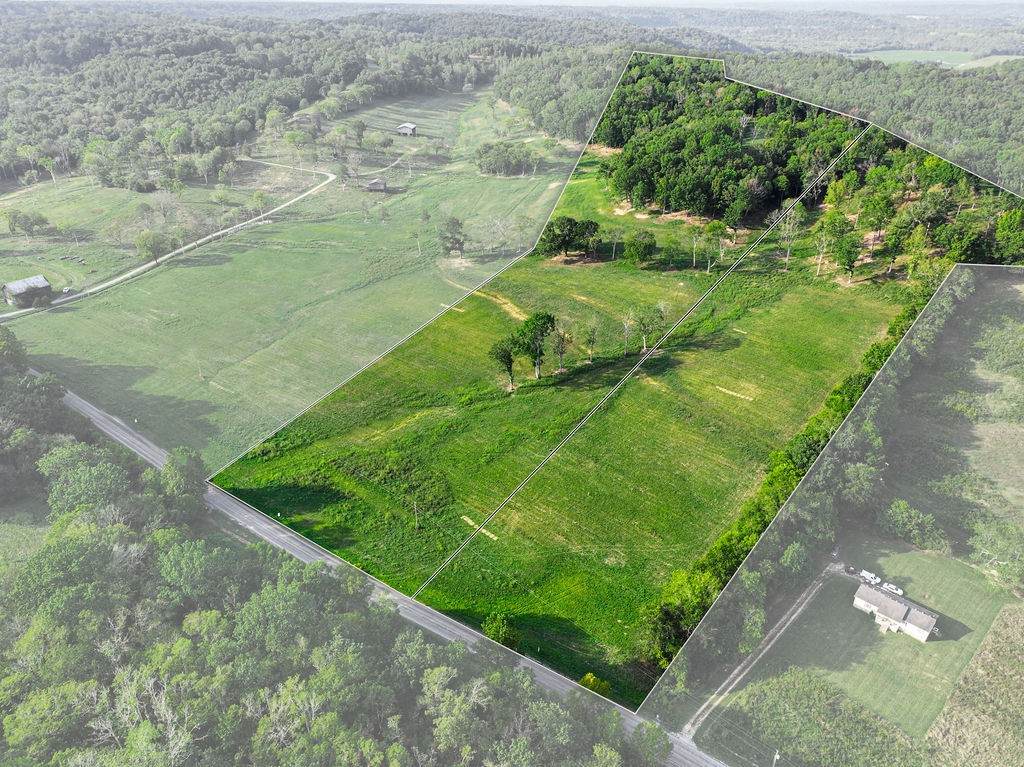 0 Love Branch Road - Photo 1