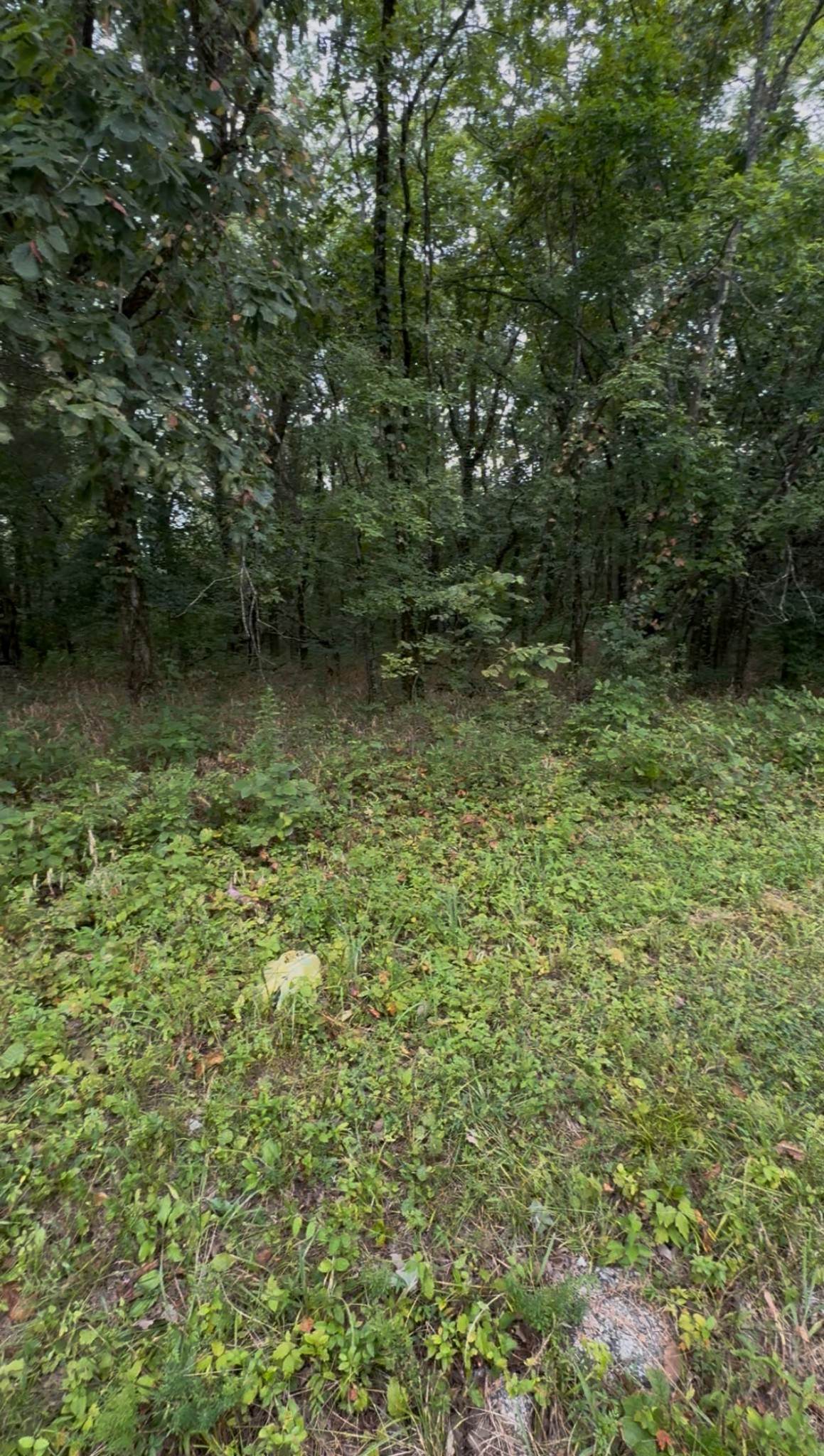 https://bt-photos.global.ssl.fastly.net/nashville/orig_boomver_1_RTC3030233-1.jpg