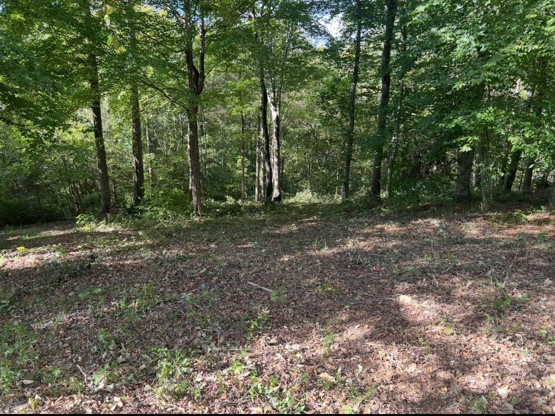 165 Overlook Ct - Photo 1