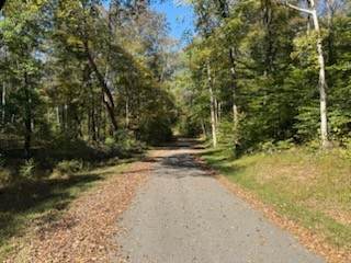 0 Johnnie Rd - Photo 1