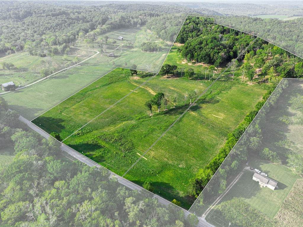 0 Love Branch Road - Photo 1