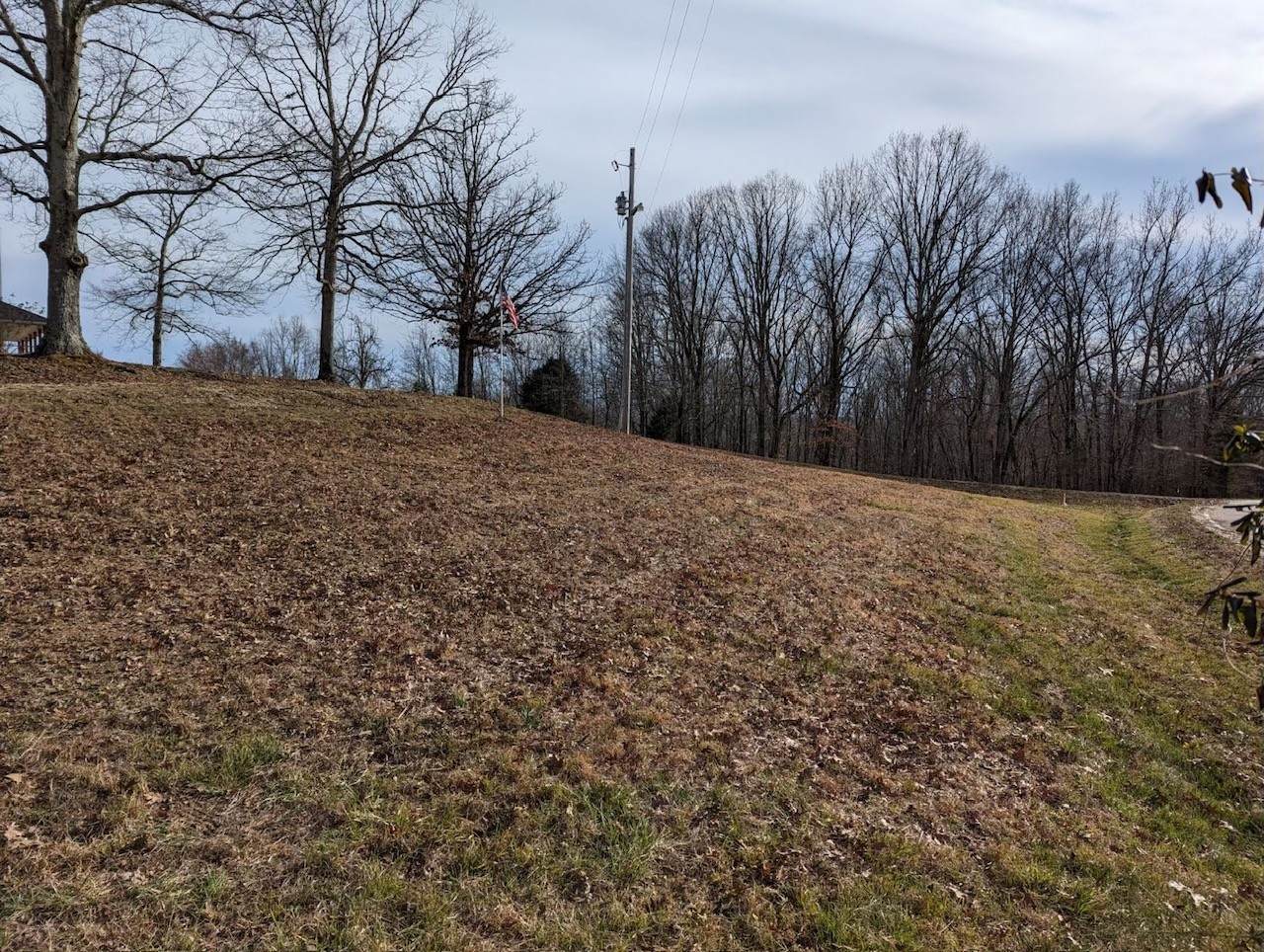 518 Hayes Ridge Rd - Photo 1