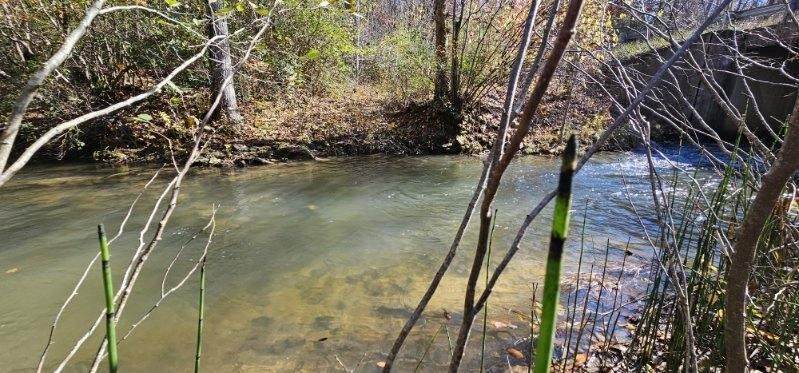0 Woods Rd - Photo 1