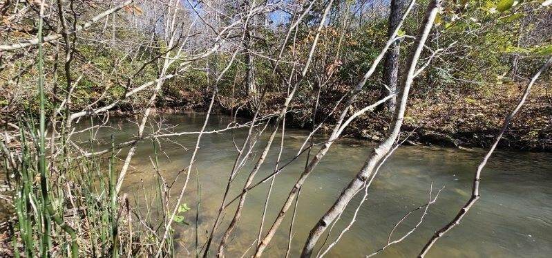 https://bt-photos.global.ssl.fastly.net/nashville/orig_boomver_1_RTC3042786-1.jpg