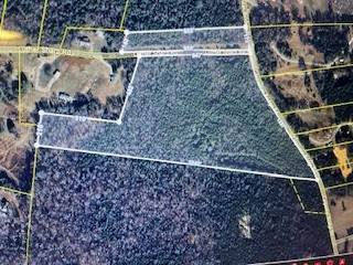 0 Carpenter Bridge Rd - Photo 1