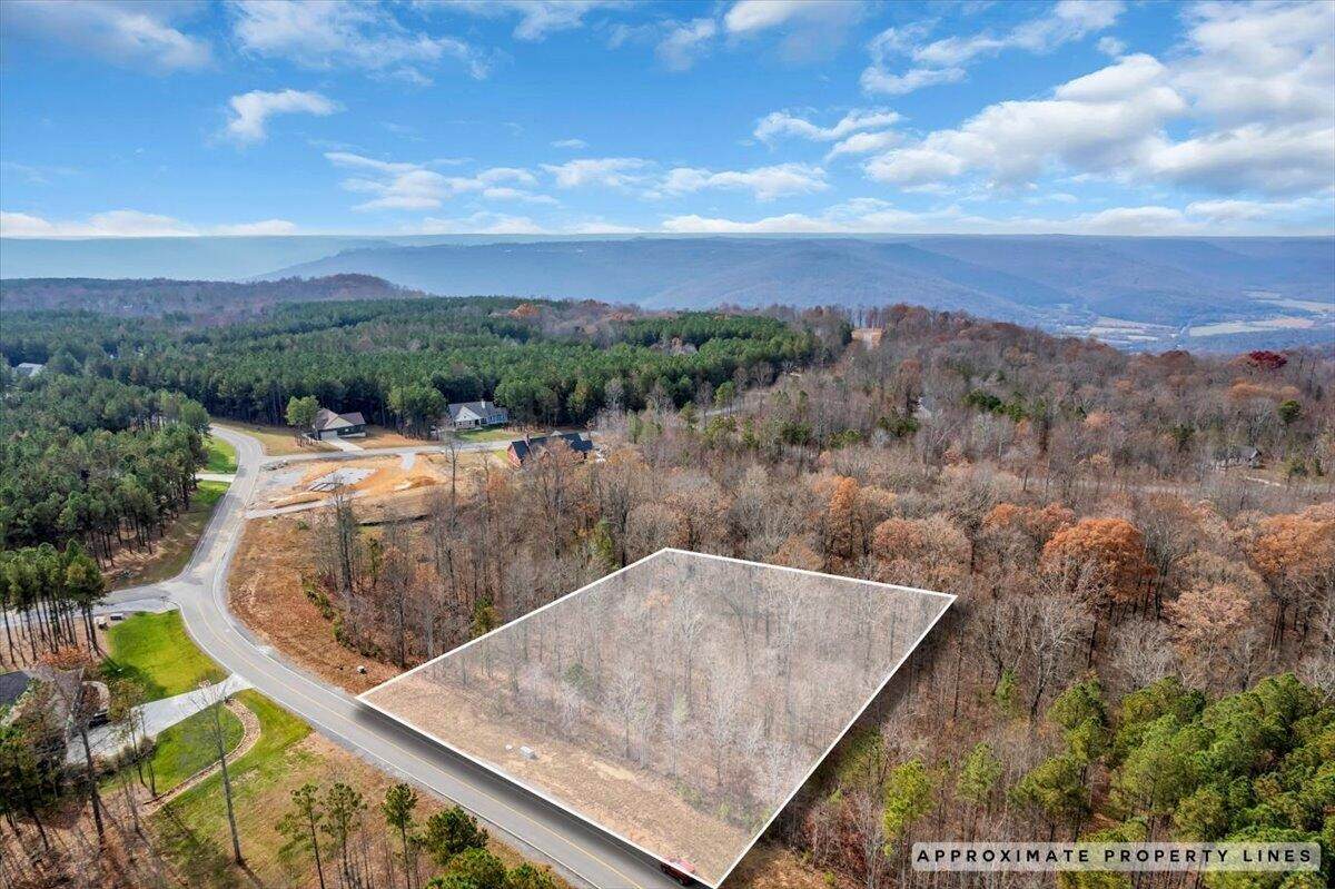 0 Crockett Point - Photo 1
