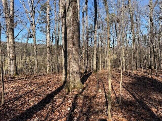 https://bt-photos.global.ssl.fastly.net/nashville/orig_boomver_1_RTC3068184-1.jpg