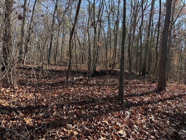 5 County Road 751 - Photo 1