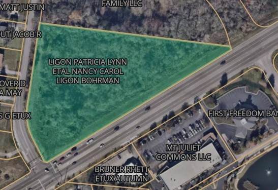 0 Lebanon Rd - Photo 1