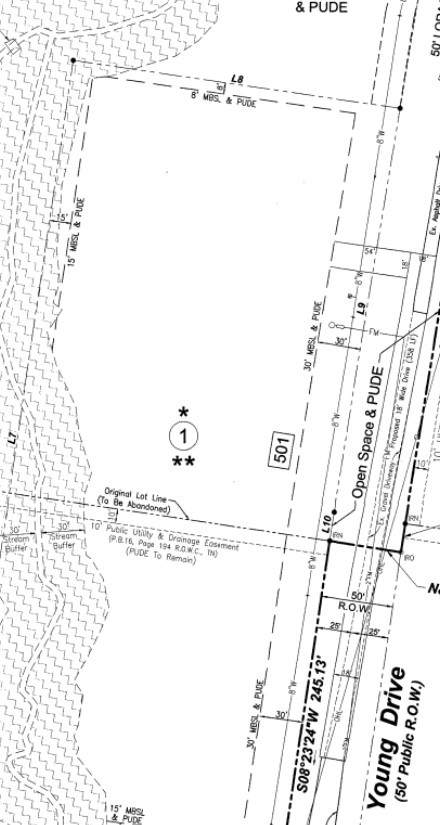 501 Young Drive - Photo 1