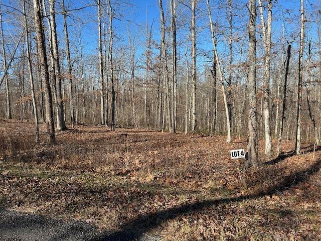 4 Slaughter Rd - Photo 1