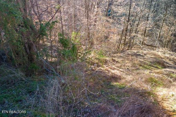 636 Stockton Drive - Photo 1