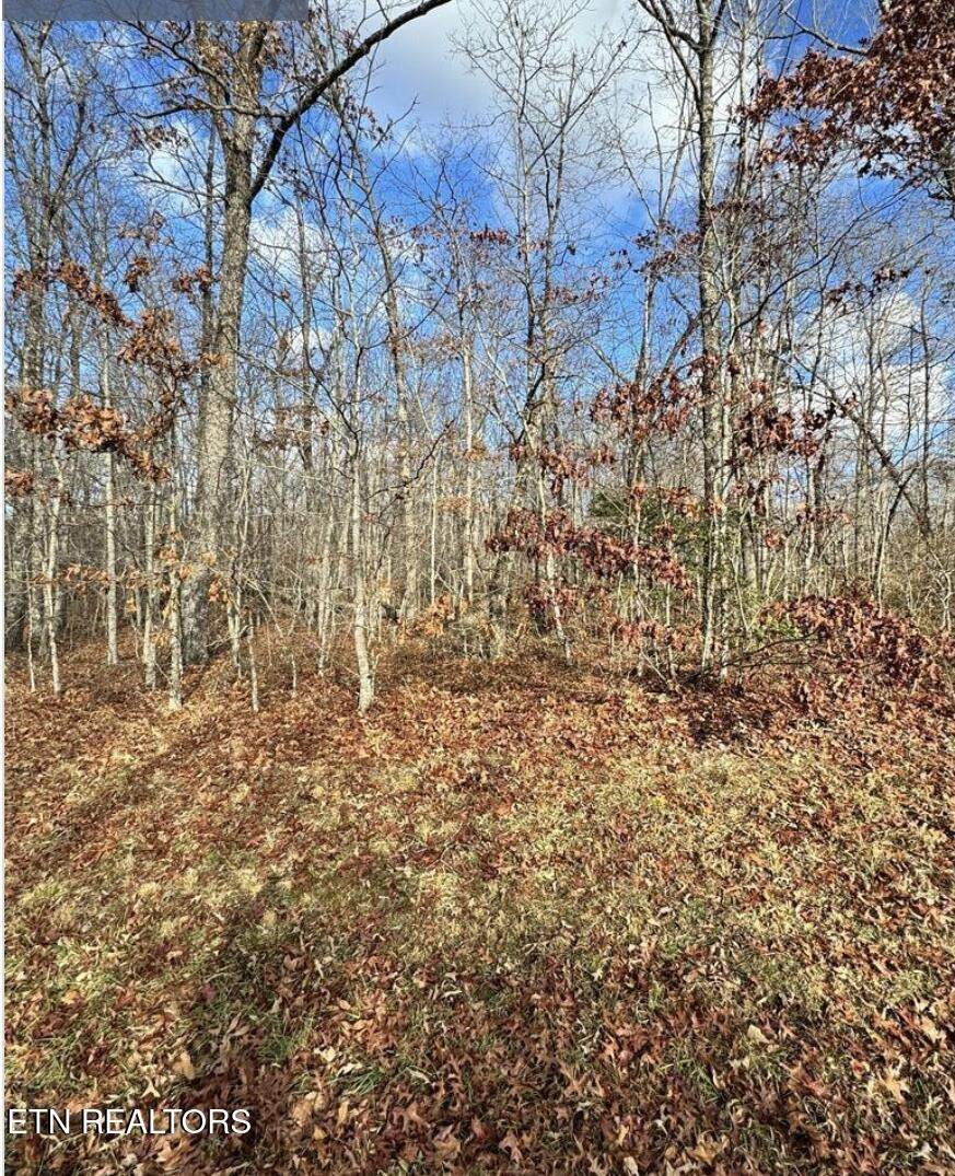 8 Cumberland Lakes Drive - Photo 1