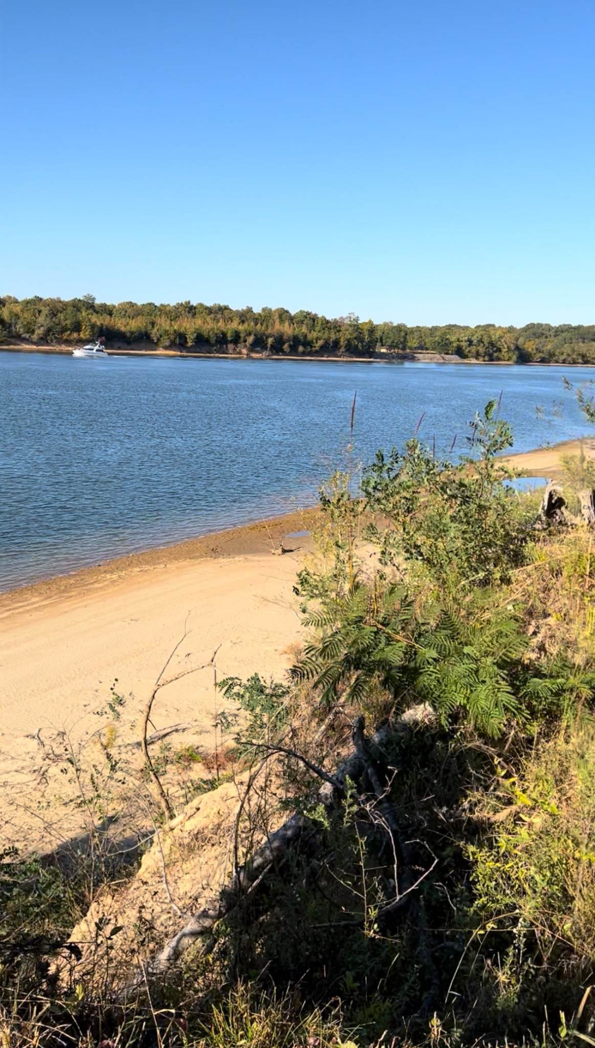 5335 Cravens Rd - Photo 1