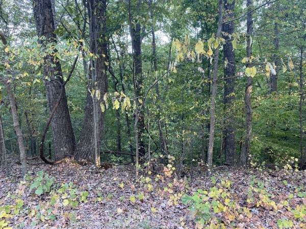 1241 Broadway Ave - Photo 1