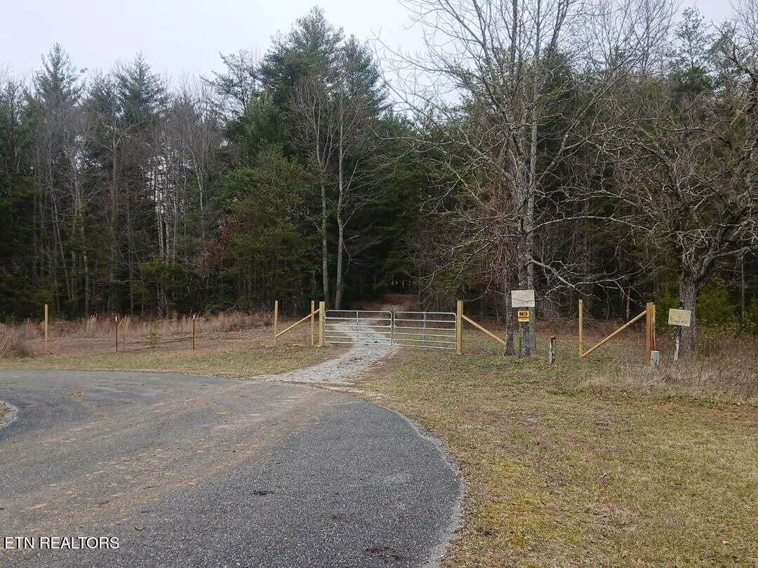 0 Wild Magnolia - Photo 1