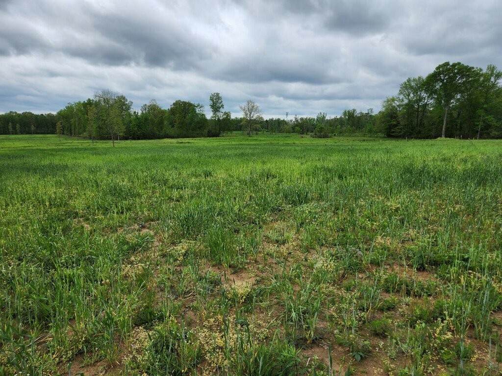0 Indian Creek Rd - Photo 1
