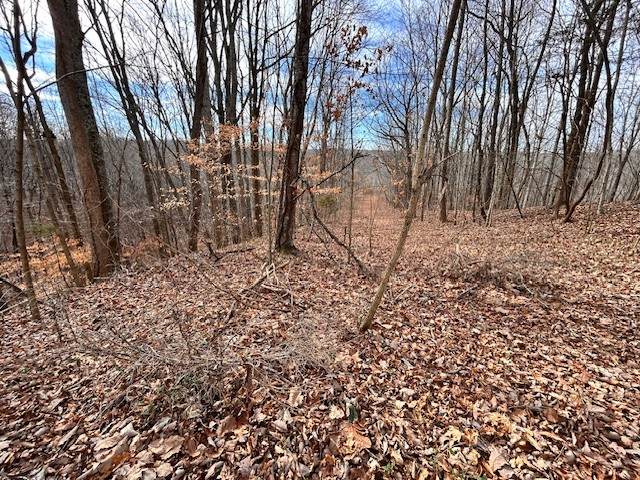 61 Old Hickory Place - Photo 1