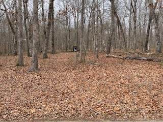 0 Cooleys Rift Blvd - Photo 1