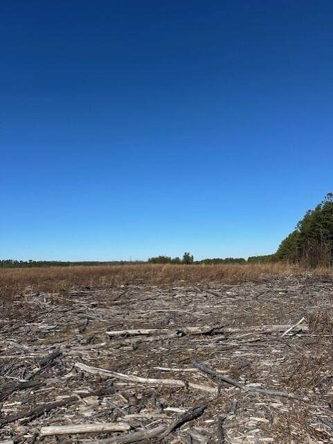 2 50th Avenue - Photo 1