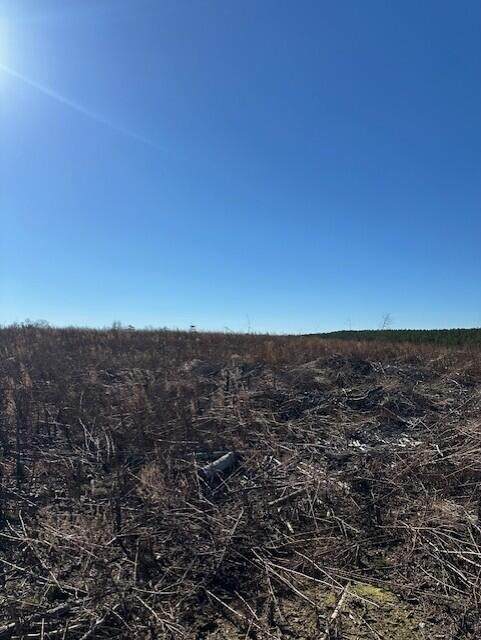 4 50th Avenue - Photo 1