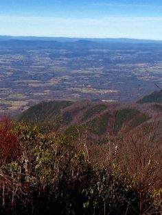 0 Box House Rd - Photo 1