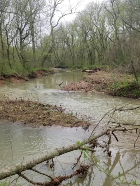 683 Highway 79 - Photo 1