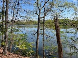 0 Canary Lane - Photo 1