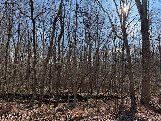 113 Overlook Cove - Photo 1