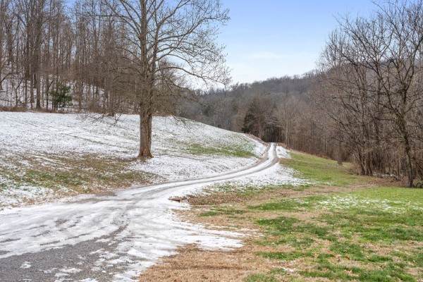 7401 Burks Hollow Rd - Photo 1