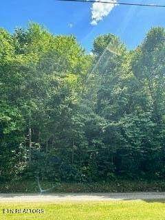 0 Lakeview Drive - Photo 1