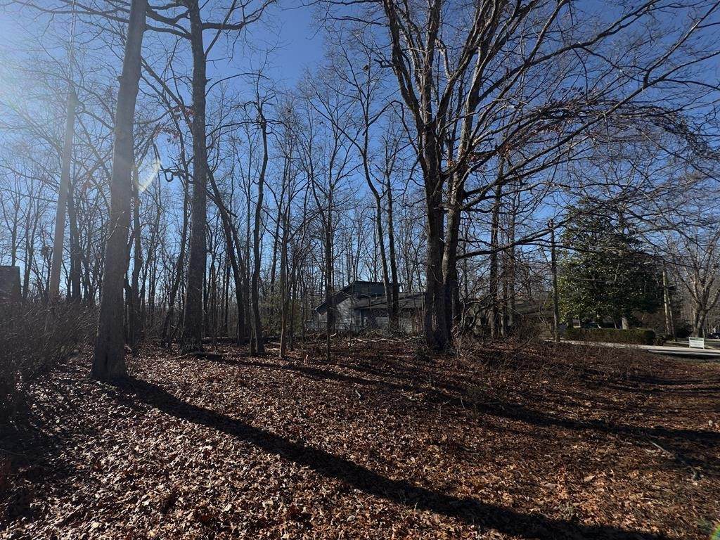 336 Lakeview Dr - Photo 1