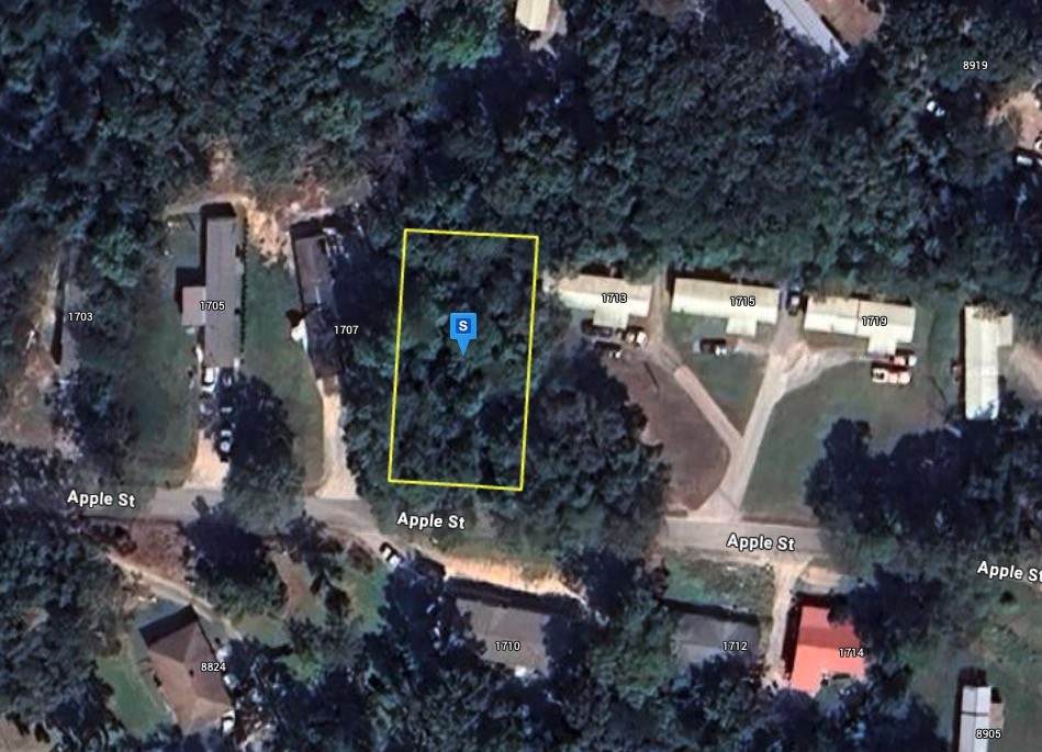 1711 Apple St - Photo 1