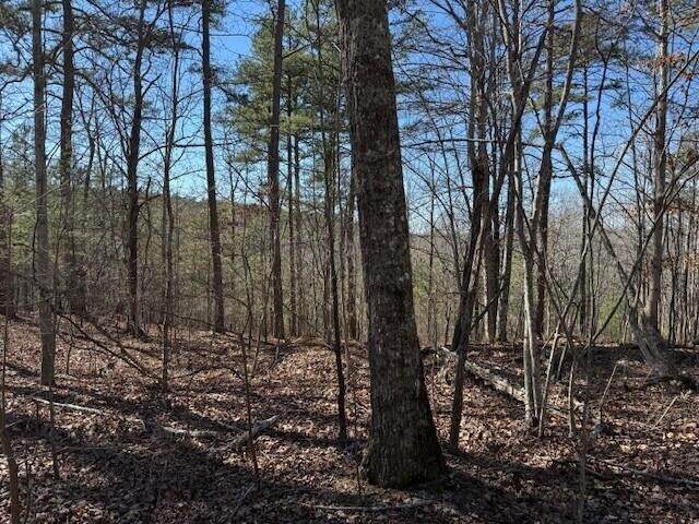 1 South Pittsburg Mountain - Photo 1