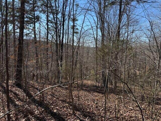 2 South Pittsburg Mtn Road - Photo 1