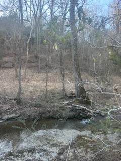 https://bt-photos.global.ssl.fastly.net/nashville/orig_boomver_1_RTC3130569-1.jpg