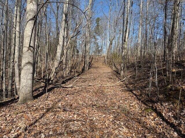3 South Pittsburg Mountain - Photo 1