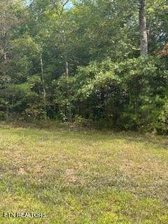 0 Ridge Top Drive - Photo 1
