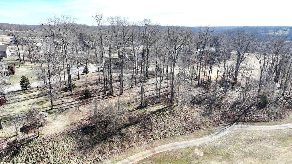 326 Cayuga Drive - Photo 1