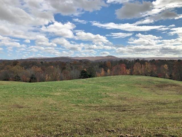 351 Rocky River Road - Photo 1