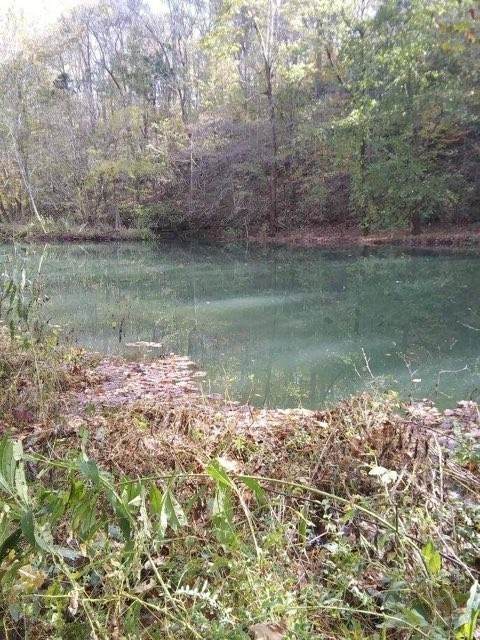 https://bt-photos.global.ssl.fastly.net/nashville/orig_boomver_1_RTC3131941-1.jpg